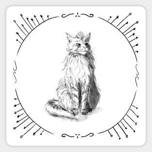 The maine coon cat queen Magnet